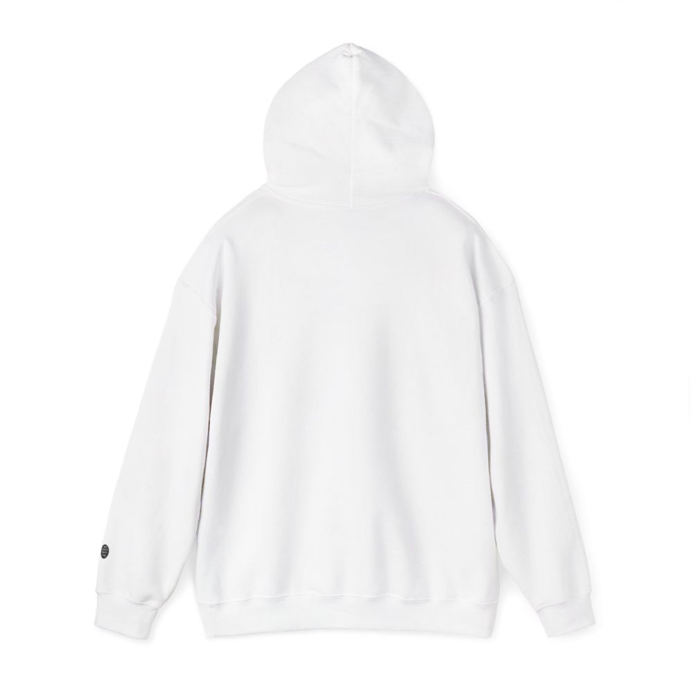 Picture of Team Anti-Gravity Hoodie